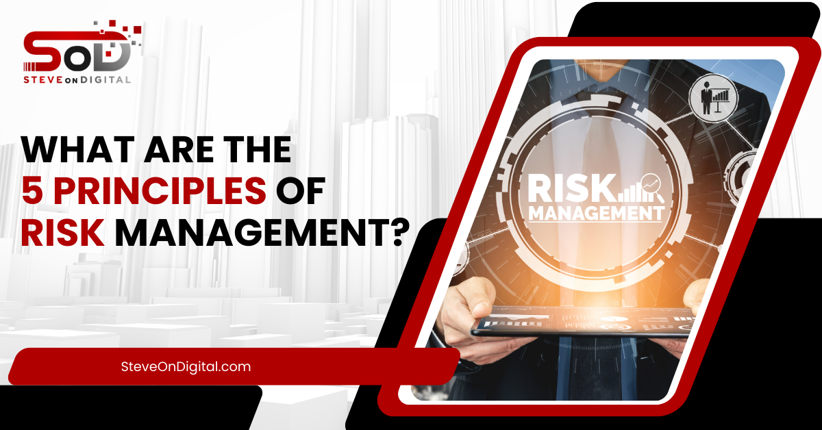 The 5 Principles Of Risk Management – SteveOnDigital