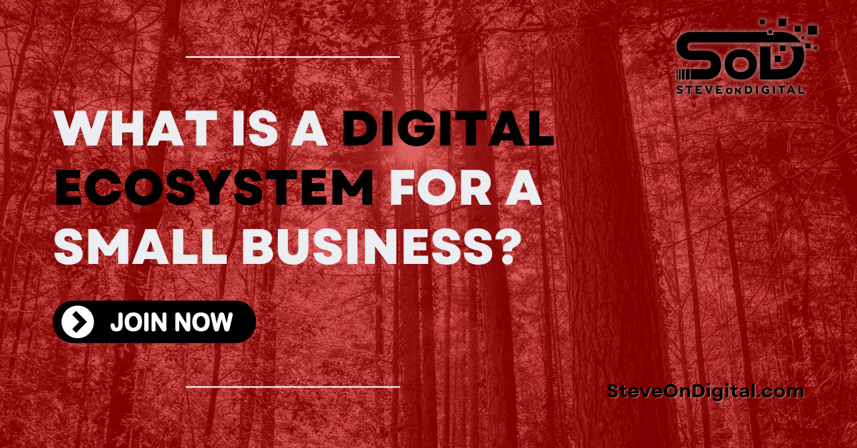 What Is A Digital Ecosystem For A Small Business? | SOD